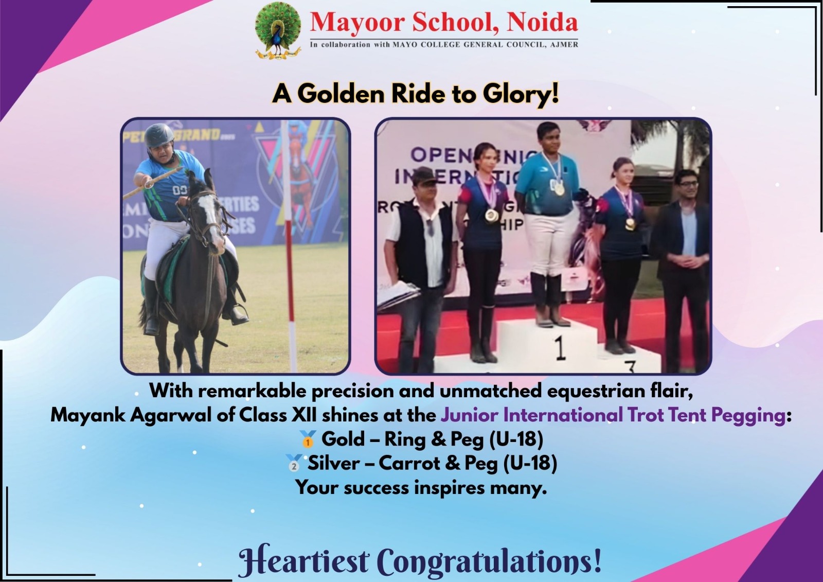 Equestrian Excellence at the International Arena